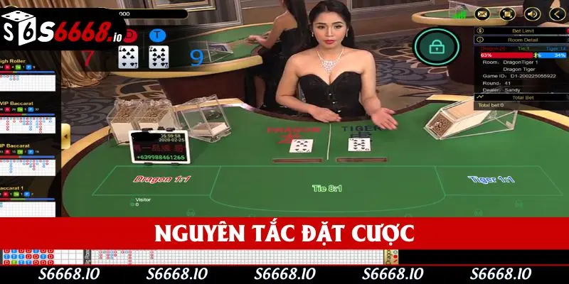 Nguyên tắc đặt cược mà bạn cần chú ý khi tham gia